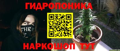 спиды Можайск