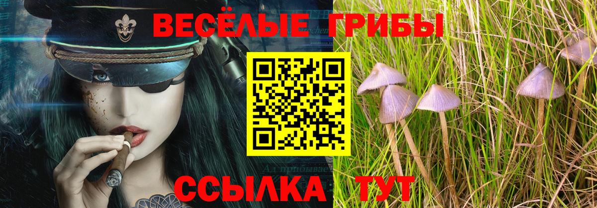 Тверь  Псилоцибиновые грибы GOLDEN TEACHER  купить наркоту  Галлюциногенные грибы ЛСД  Вход с VPN 