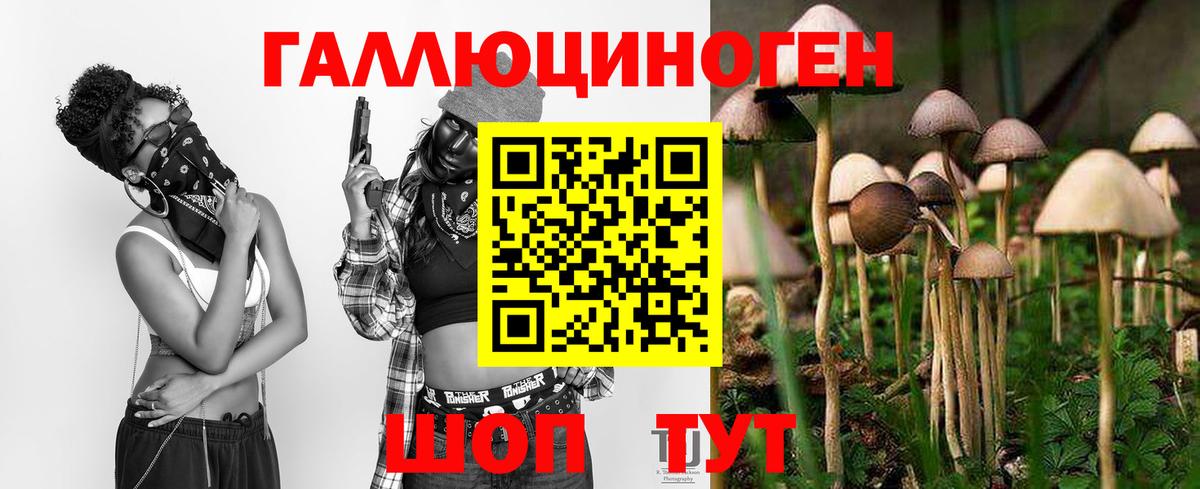 Псилоцибиновые грибы мухоморы Тверь